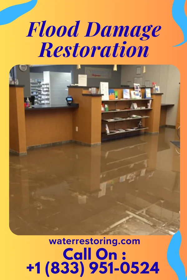 Flood Damage Restoration in Nelson, WI