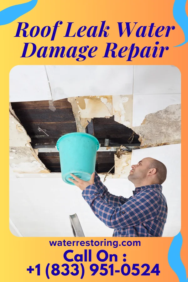 Roof Leak Water Damage Repair in Nelson, WI
