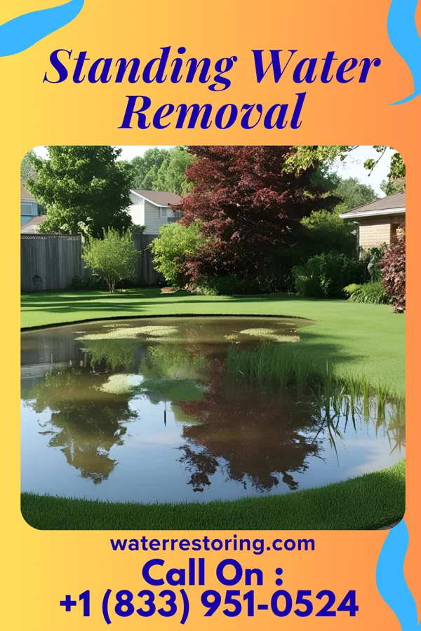 Standing Water Removal in Nelson, WI